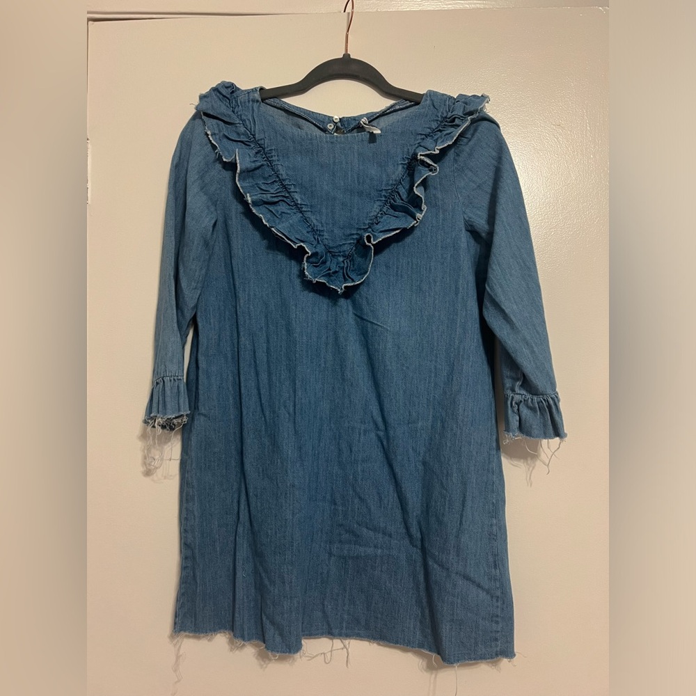 Zara denim long sleeve dress